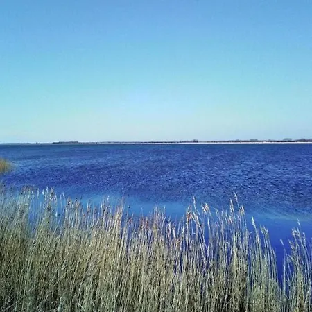 Hébergement de vacances Am Boddenufer Mit Freiem Boddenblick